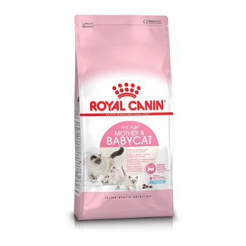 غذای بچه گربه و مادر royal canin