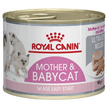 کنسرو گربه رویال کنین مدل Mother & Babycat Starter وزن ۱۹۵ گرم