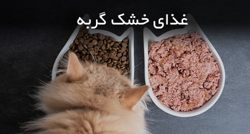 خرید و قیمت غذای خشک گربه٬ بهترین غذای خشک گربه٬رفلکی مولتی کالر