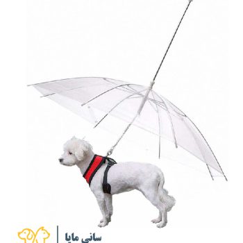 چتر پیاده روی سگ