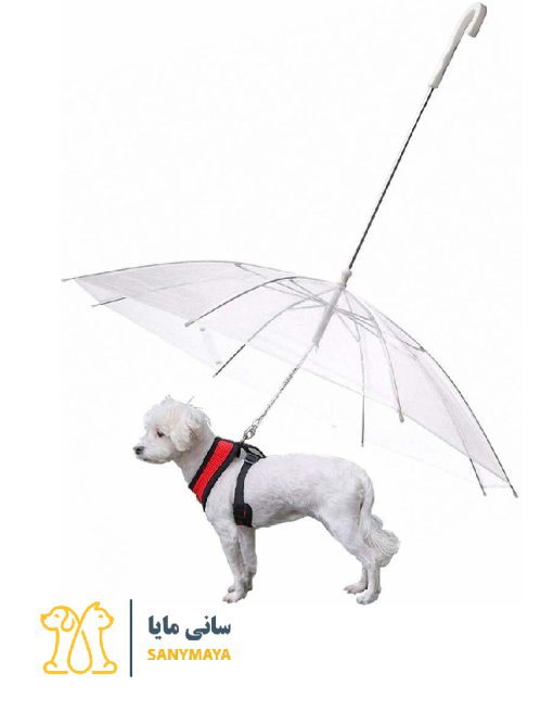 چتر پیاده روی سگ