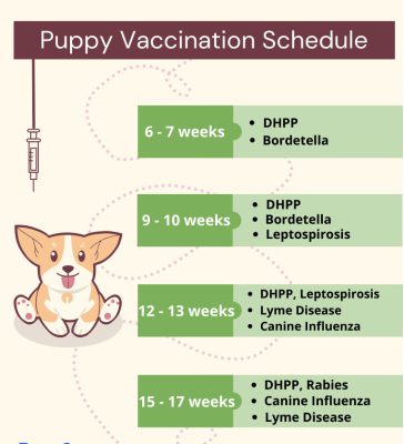 یکی از علائم بی اشتهایی در سگ ها واکسن می باشد