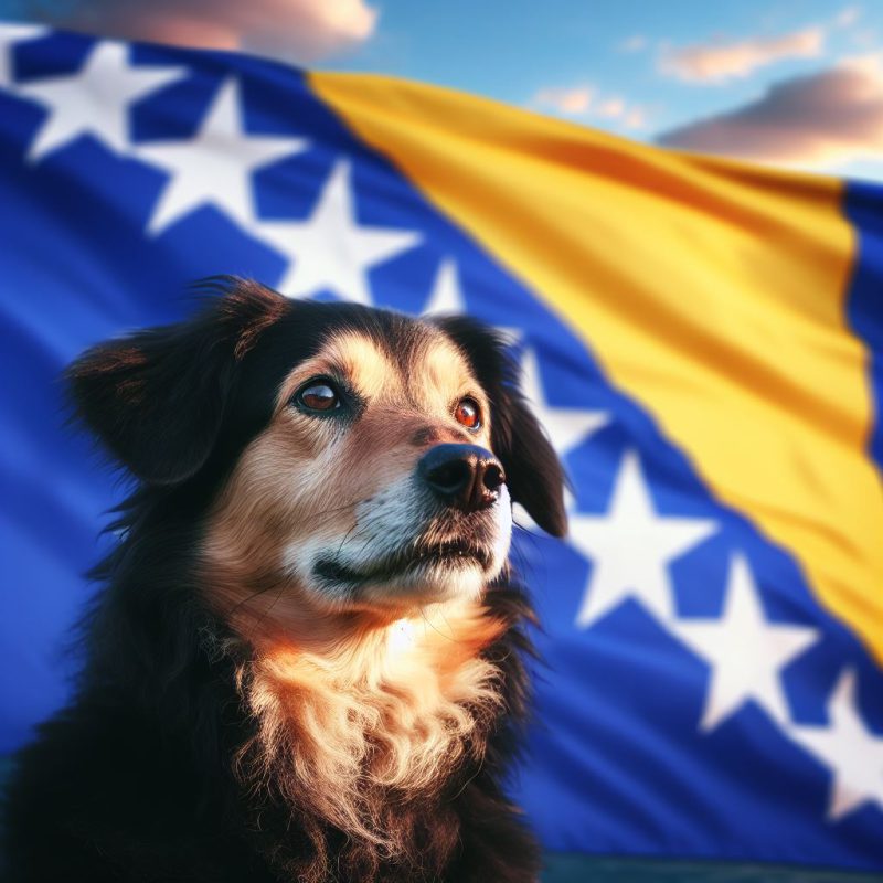 قوانین بردن سگ به کشور بوسنی و هرزگوین