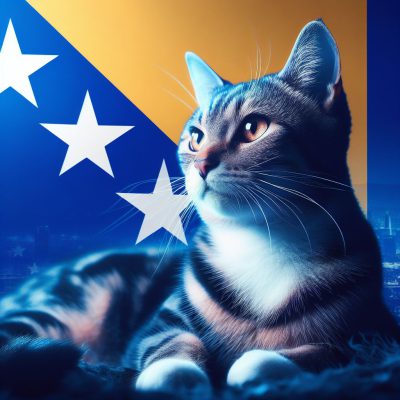 شرایط قوانین و هزینه بردن گربه به کشور بوسنی و هرزگوین