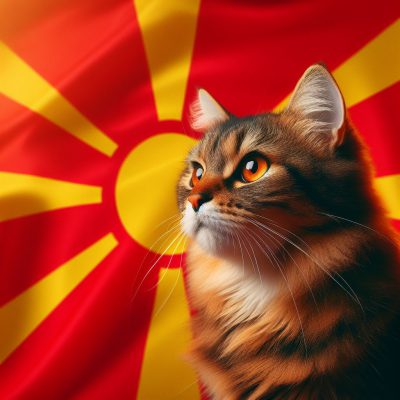 شرایط قوانین و هزینه بردن گربه به کشور مقدونیه شمالی